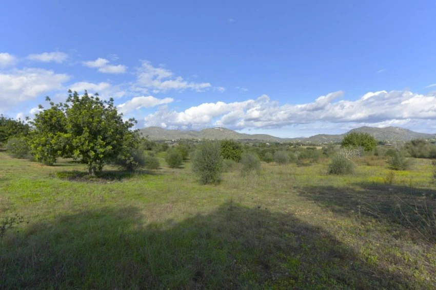 Venta Terrenos Sant Llorenç des Cardassar