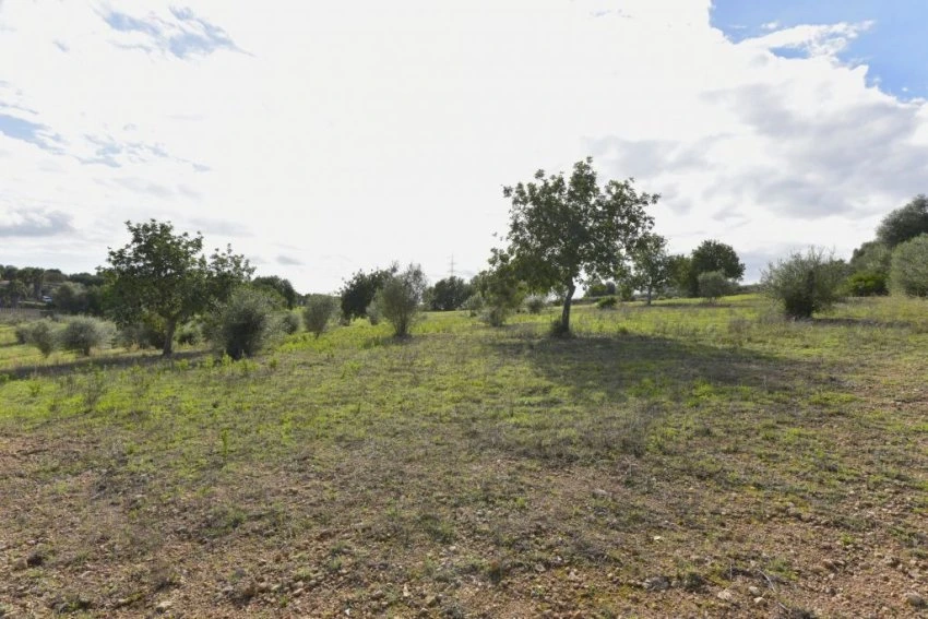 Venta Terrenos Sant Llorenç des Cardassar