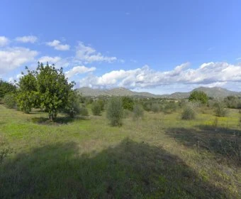 Venta Terrenos Sant Llorenç des Cardassar