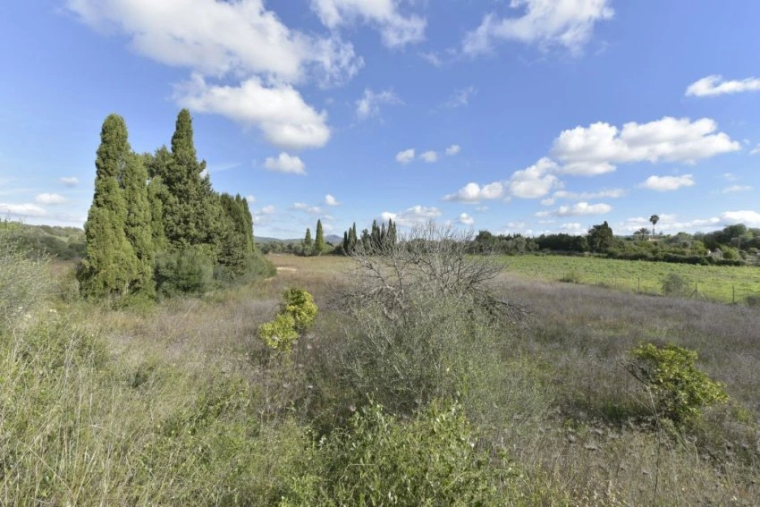 Venta Terrenos Manacor