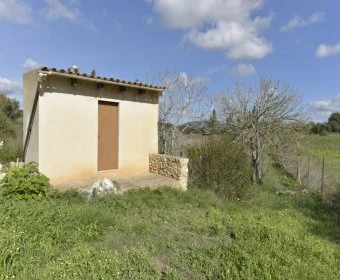 Land for sale in Manacor Mallorca