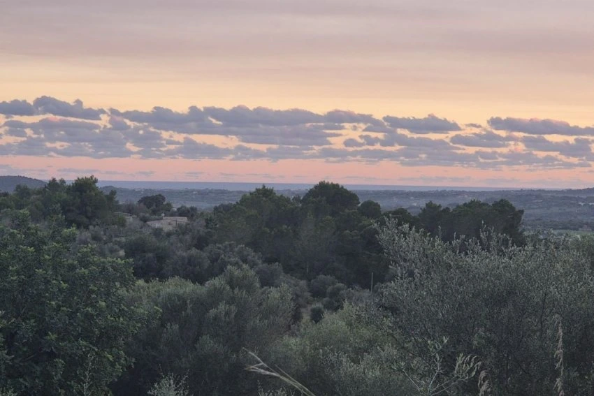 Venta Terrenos Sant Llorenç des Cardassar