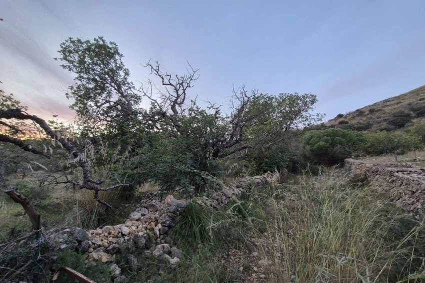 Venta Terrenos Sant Llorenç des Cardassar