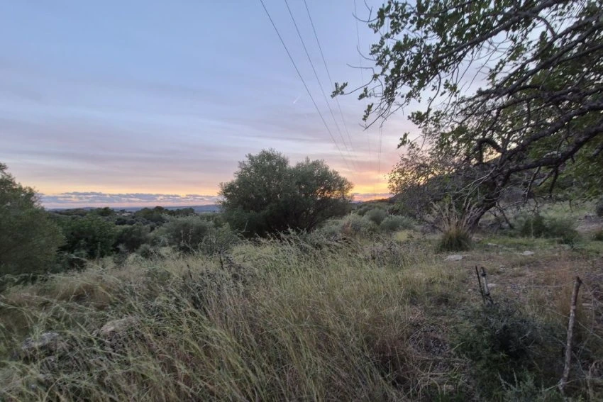 Venta Terrenos Sant Llorenç des Cardassar