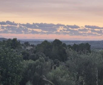 Venta Terrenos Sant Llorenç des Cardassar