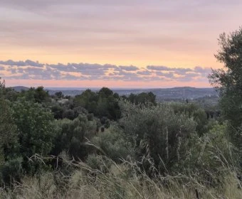 Sale Lands Sant Llorenç des Cardassar