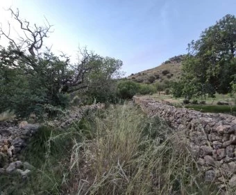 Sale Lands Sant Llorenç des Cardassar