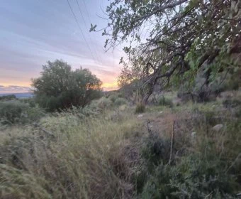 Land for sale in Sant Llorenç des Cardassar Mallorca