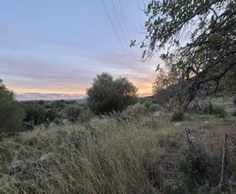 Land for sale in Sant Llorenç des Cardassar Mallorca