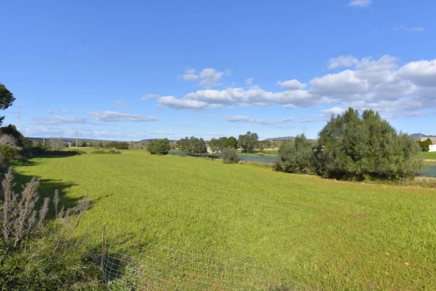 Venta Terrenos Manacor