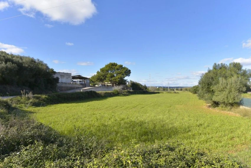 Venta Terrenos Manacor