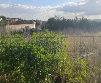 Casa rústica en venta en Sant Llorenç des Cardassar Mallorca