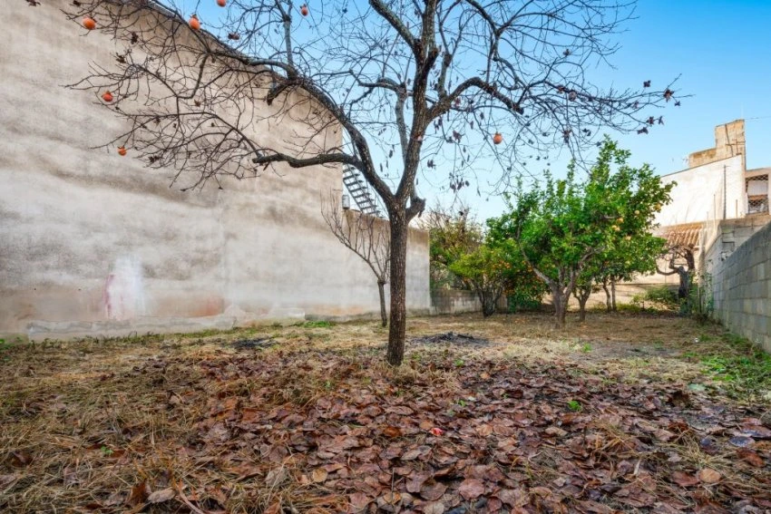 Sale Urban solar Felanitx