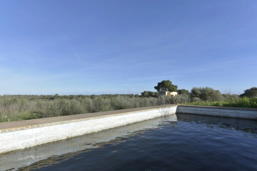 Venta Casas Rústicas Porto Cristo