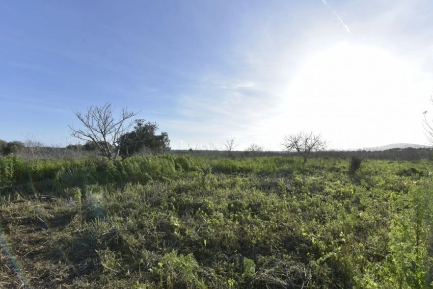 Venta Casas Rústicas Porto Cristo