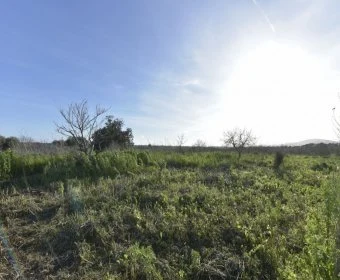 Sale Rustic houses Porto Cristo